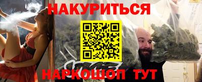 сатива Будённовск