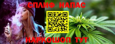 сатива Будённовск